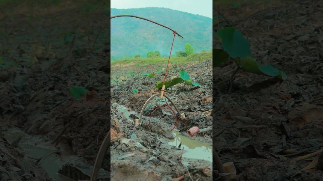 Amazing Quick Crocodile Trap #shorts