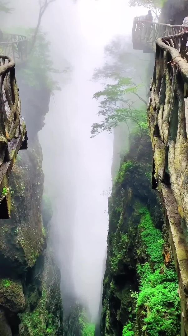 Nature Short video  Nature 4k Status  Asmr Status  4k video 30 seconds  Nature short video 4k 17