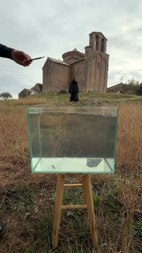 Xirfad sawir qaadid cajiib ah