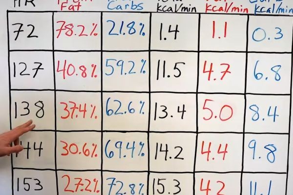 Belly Fat Burning Efficiency <br>The most efficient way to burn belly fat is combining a calorie deficit with high-intensity interval training (HIIT) and strength training.Effective Exercise..